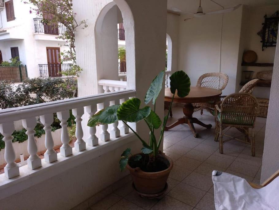 Amplio Al Lado Del Mar Appartement